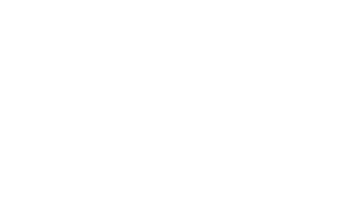 RevisioCar